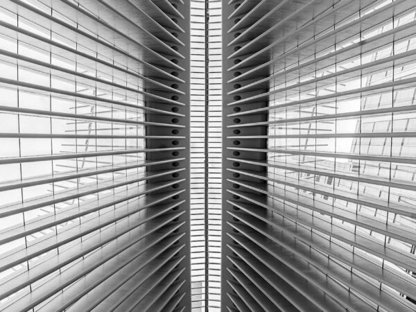 Greyscale 06