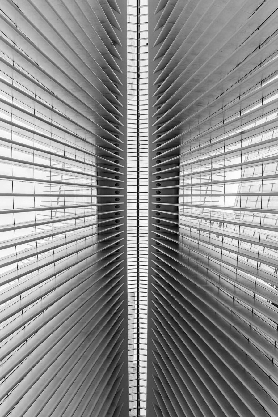 Greyscale 06