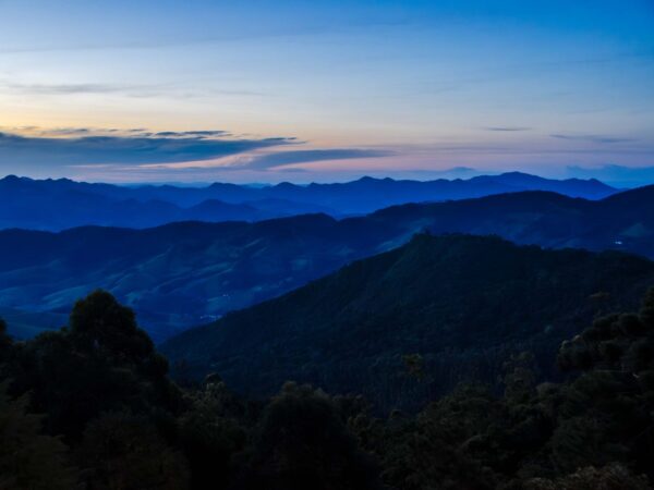 Landscapes 19