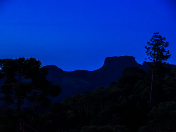 Landscapes 20