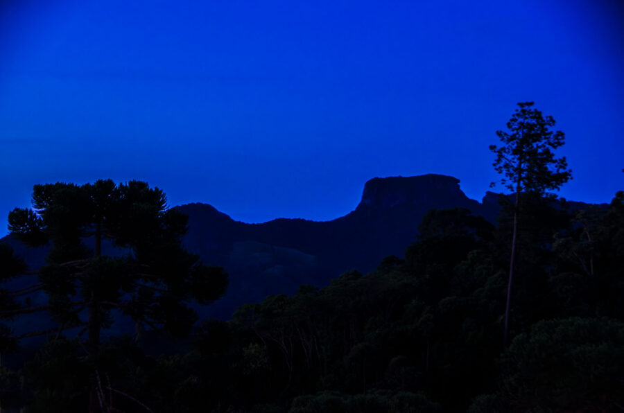 Landscapes 20