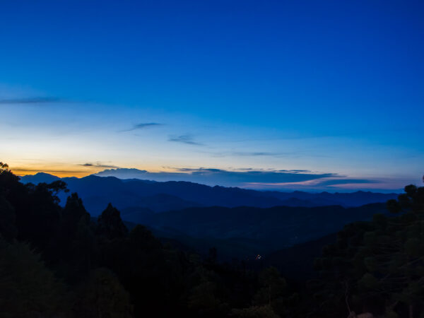 Landscapes 21