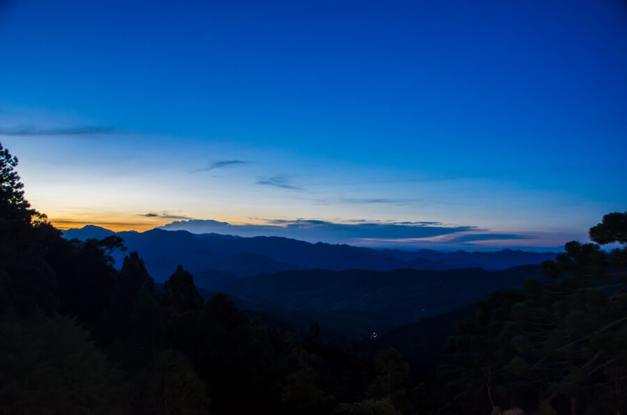 Landscapes 21