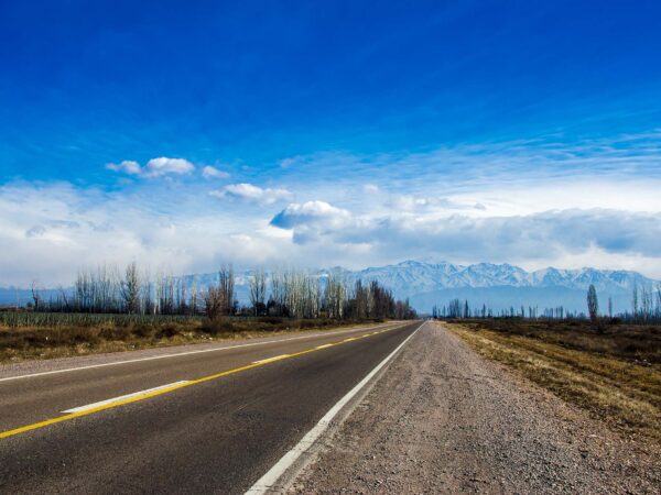 Landscapes 23