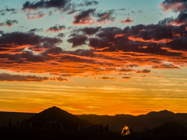 Landscapes 14