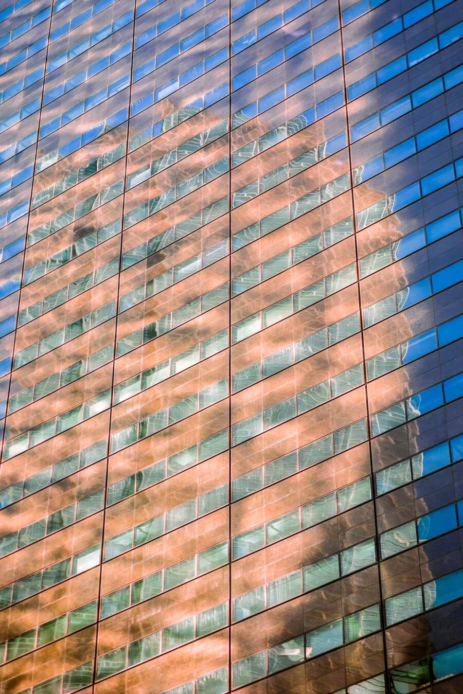 Windows 05