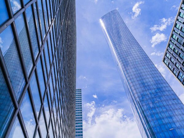 Blue York 07