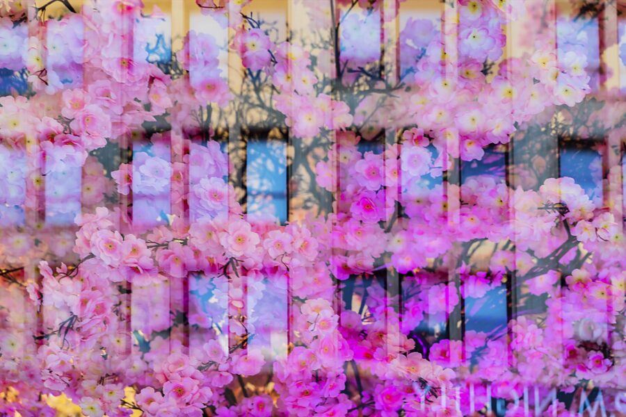 Abstract 07