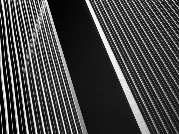 Twin Towers I