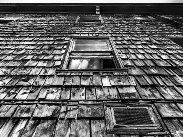 Greyscale 26