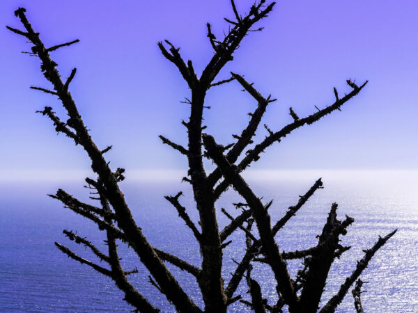 Landscapes 26