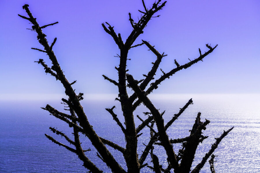 Landscapes 26