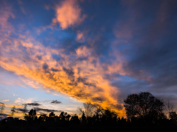 Landscapes 25