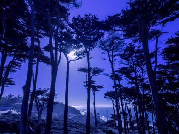 Landscapes 27