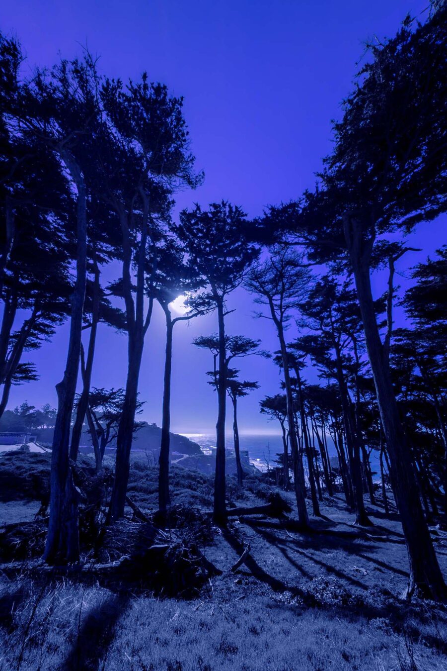 Landscapes 27