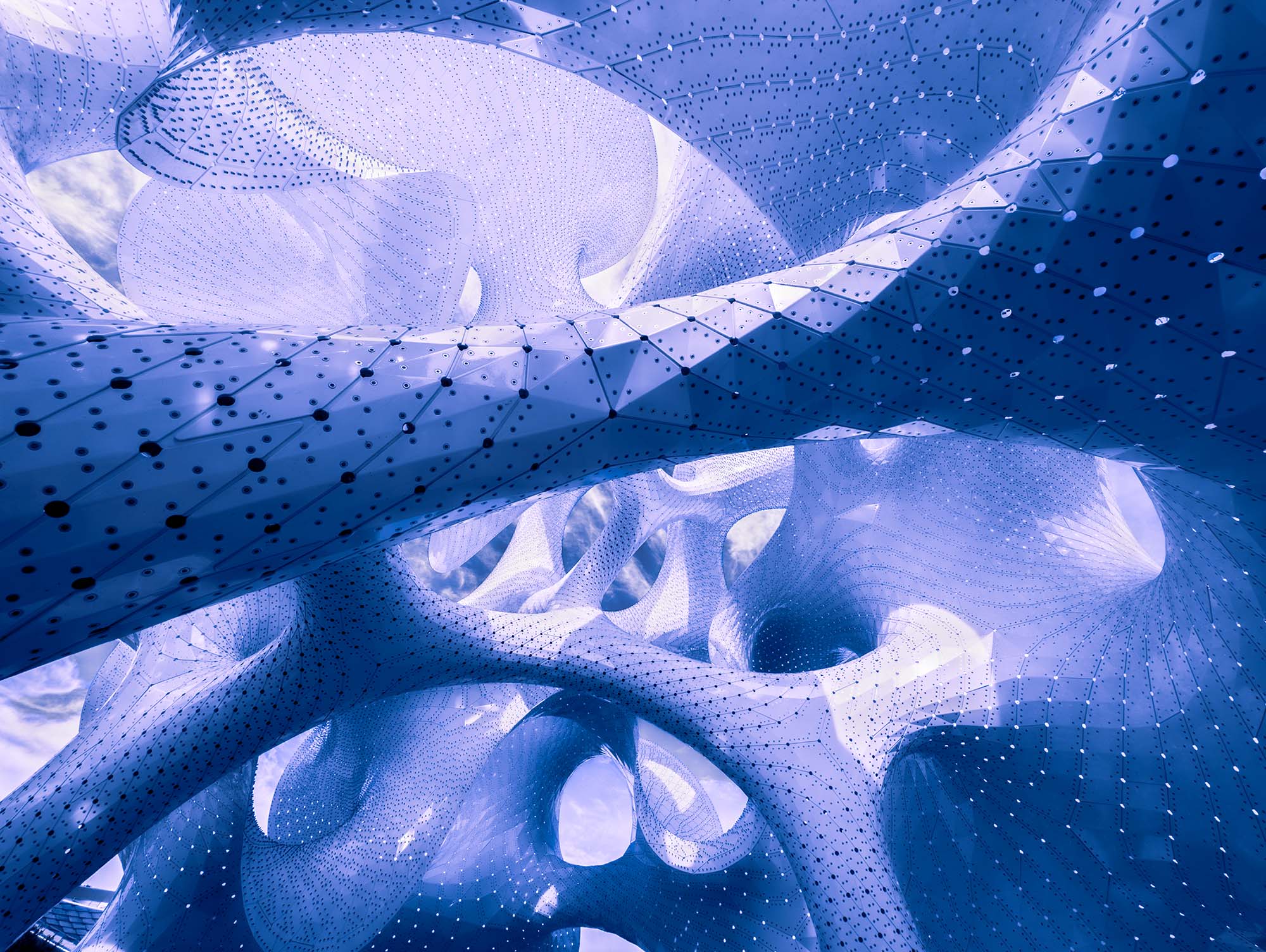 Cosmography is a photographic series inspired by MARC FORNES / THEVERYMANY's 'The Orb.' It visually bridges the macrocosm of the universe with the microcosm of the mind, revealing the shared, intricate patterns that define both external reality and internal consciousness.