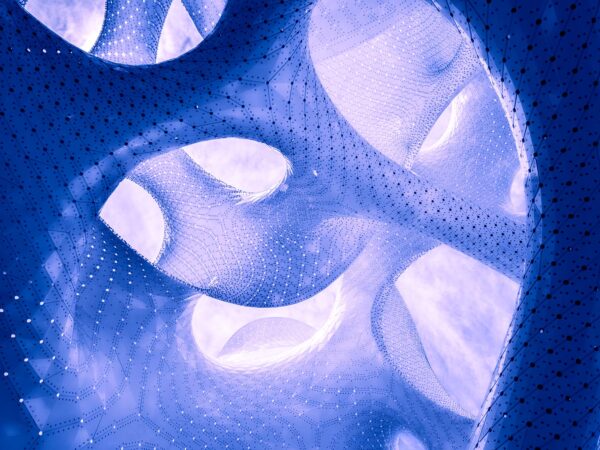 Cosmography is a photographic series inspired by MARC FORNES / THEVERYMANY's 'The Orb.' It visually bridges the macrocosm of the universe with the microcosm of the mind, revealing the shared, intricate patterns that define both external reality and internal consciousness.