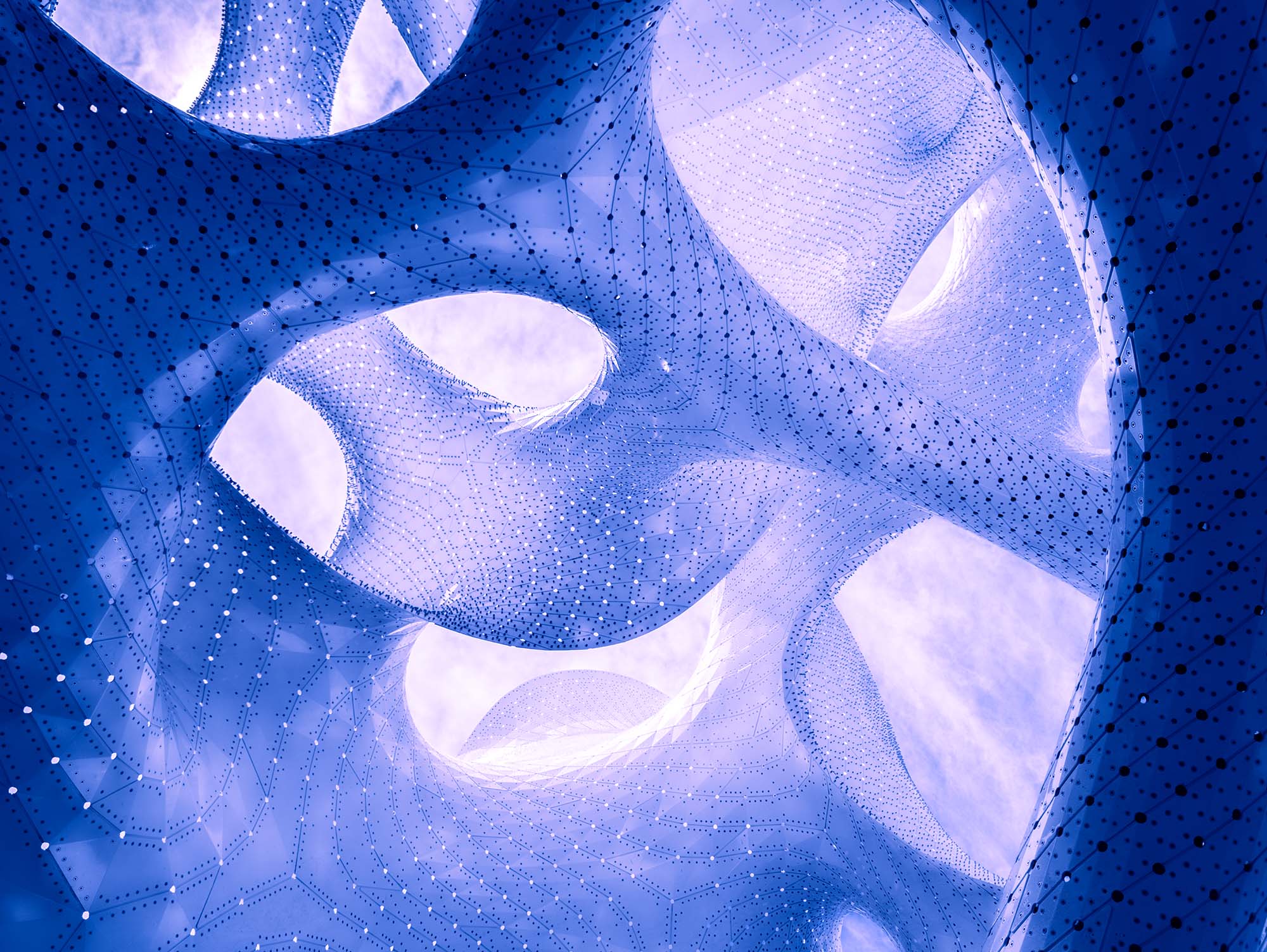 Cosmography is a photographic series inspired by MARC FORNES / THEVERYMANY's 'The Orb.' It visually bridges the macrocosm of the universe with the microcosm of the mind, revealing the shared, intricate patterns that define both external reality and internal consciousness.