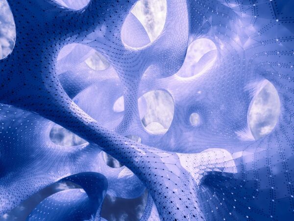 Cosmography is a photographic series inspired by MARC FORNES / THEVERYMANY's 'The Orb.' It visually bridges the macrocosm of the universe with the microcosm of the mind, revealing the shared, intricate patterns that define both external reality and internal consciousness.