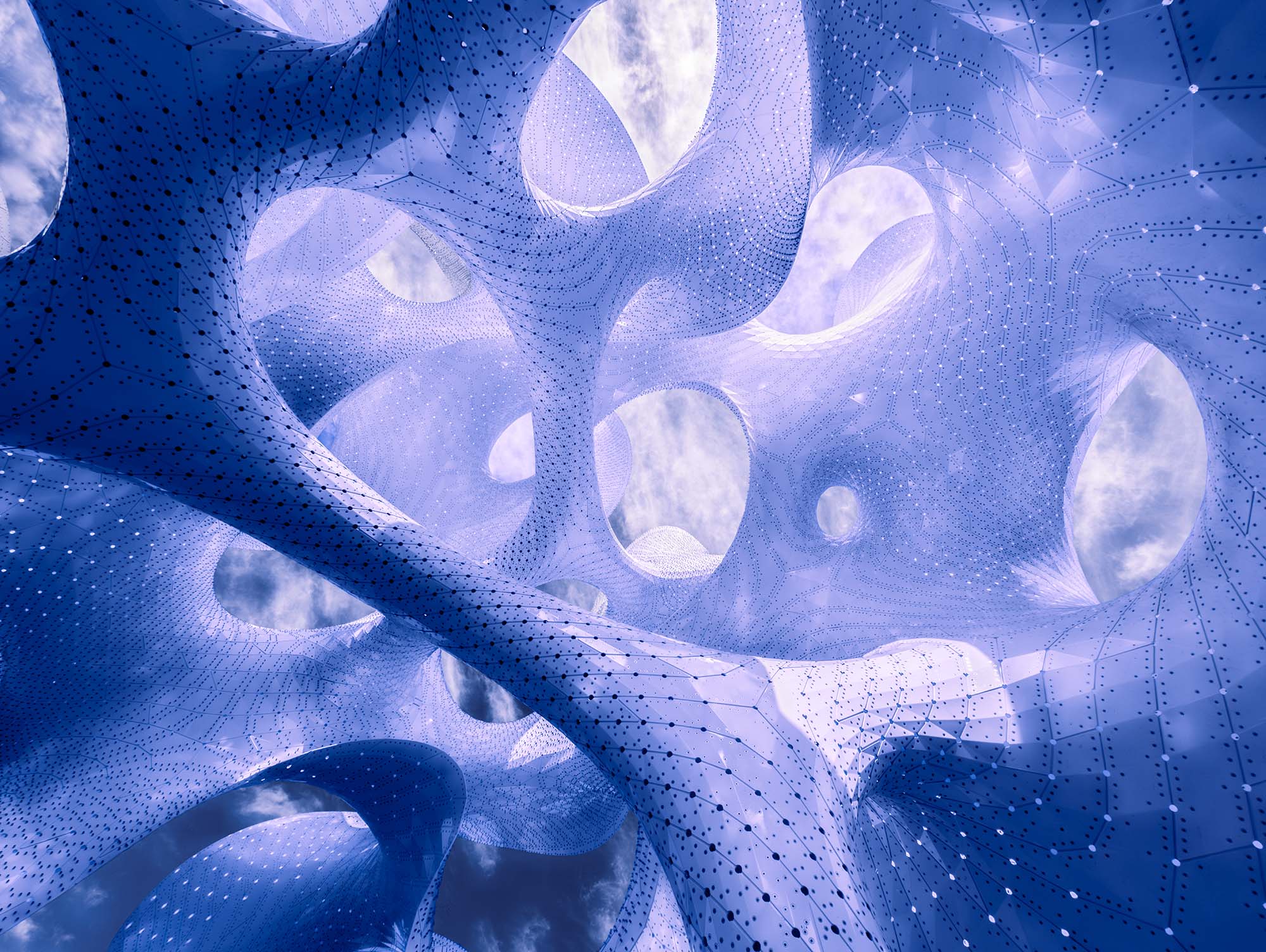 Cosmography is a photographic series inspired by MARC FORNES / THEVERYMANY's 'The Orb.' It visually bridges the macrocosm of the universe with the microcosm of the mind, revealing the shared, intricate patterns that define both external reality and internal consciousness.