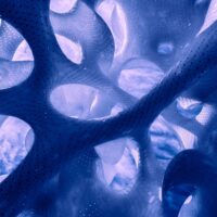 Cosmography is a photographic series inspired by MARC FORNES / THEVERYMANY's 'The Orb.' It visually bridges the macrocosm of the universe with the microcosm of the mind, revealing the shared, intricate patterns that define both external reality and internal consciousness.