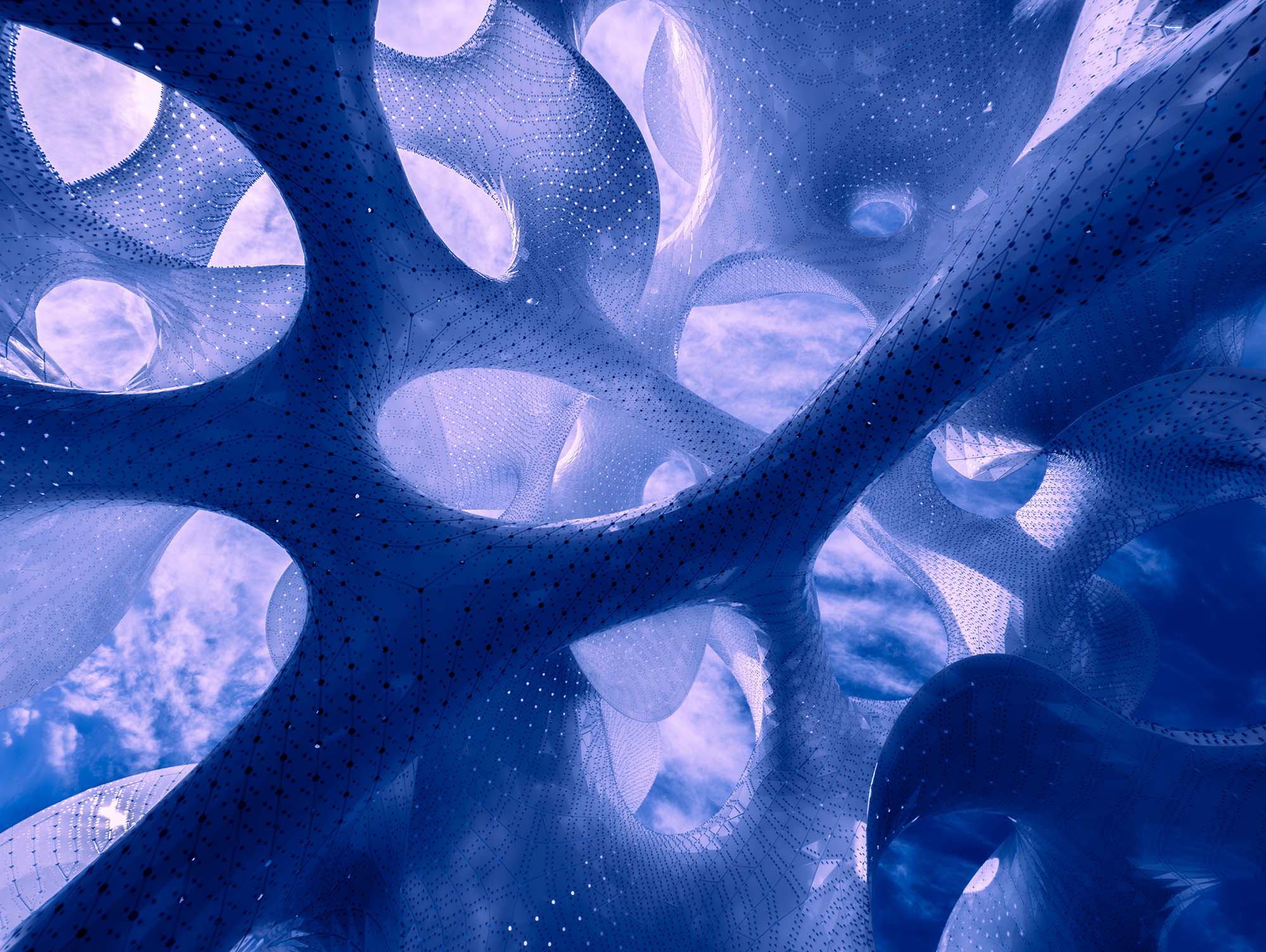 Cosmography is a photographic series inspired by MARC FORNES / THEVERYMANY's 'The Orb.' It visually bridges the macrocosm of the universe with the microcosm of the mind, revealing the shared, intricate patterns that define both external reality and internal consciousness.