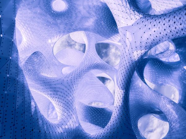 Cosmography is a photographic series inspired by MARC FORNES / THEVERYMANY's 'The Orb.' It visually bridges the macrocosm of the universe with the microcosm of the mind, revealing the shared, intricate patterns that define both external reality and internal consciousness.