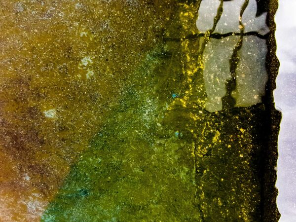 Brazilian Aquarelle