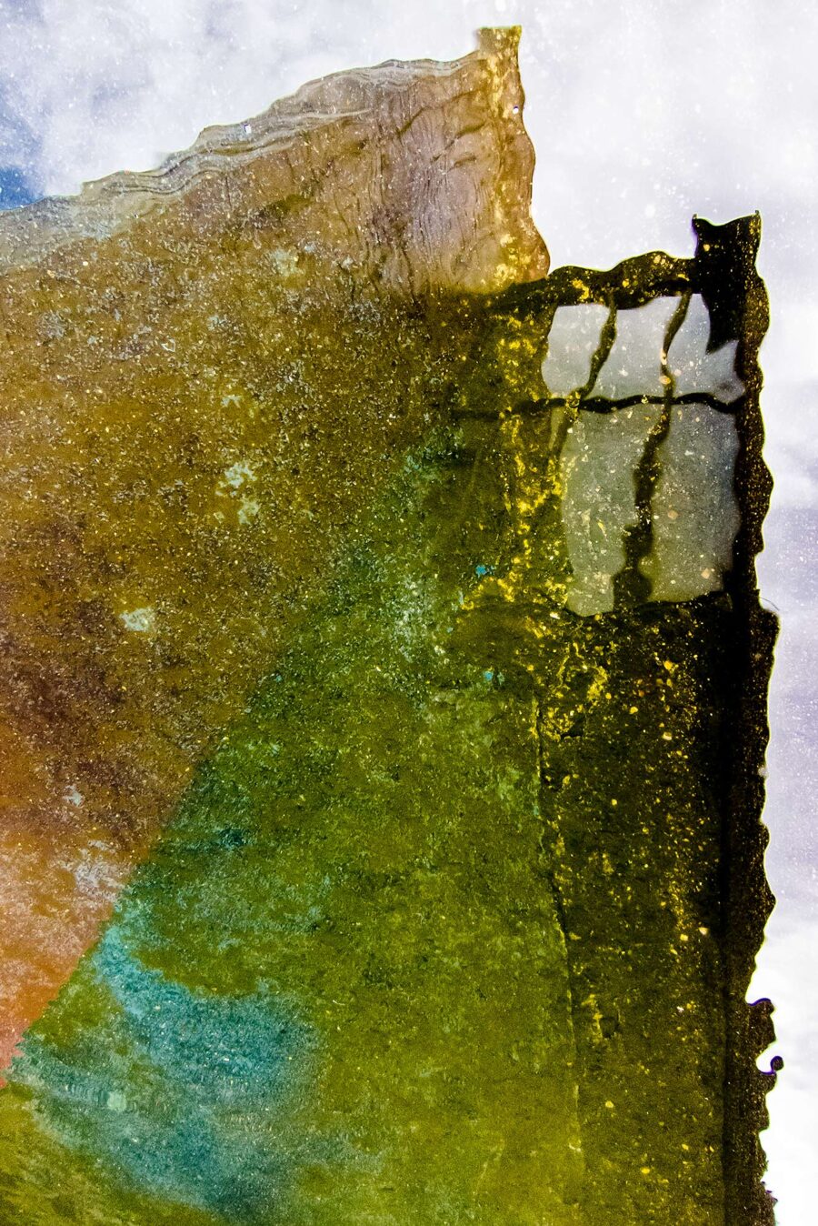 Brazilian Aquarelle
