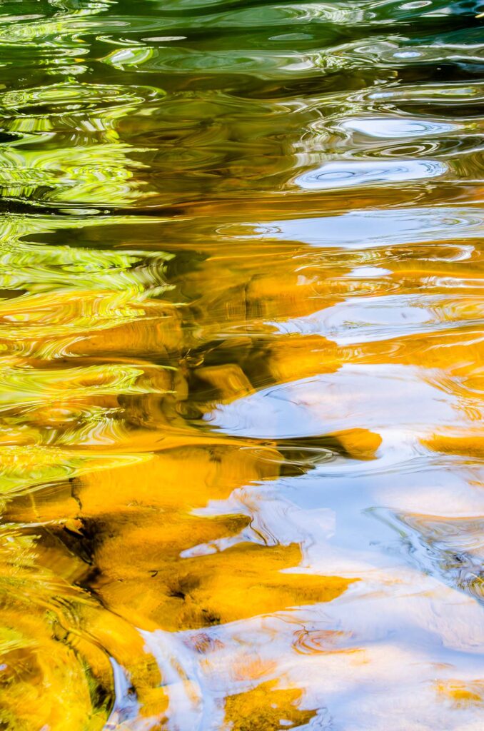 20170719-_DSC9182-Enhanced-NR