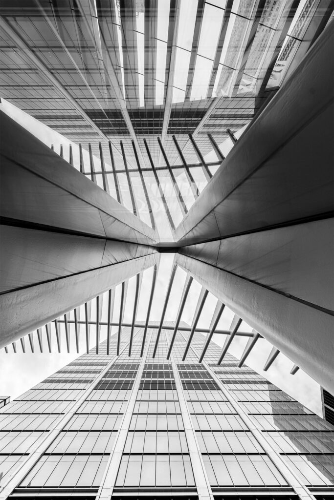 _DSC0498