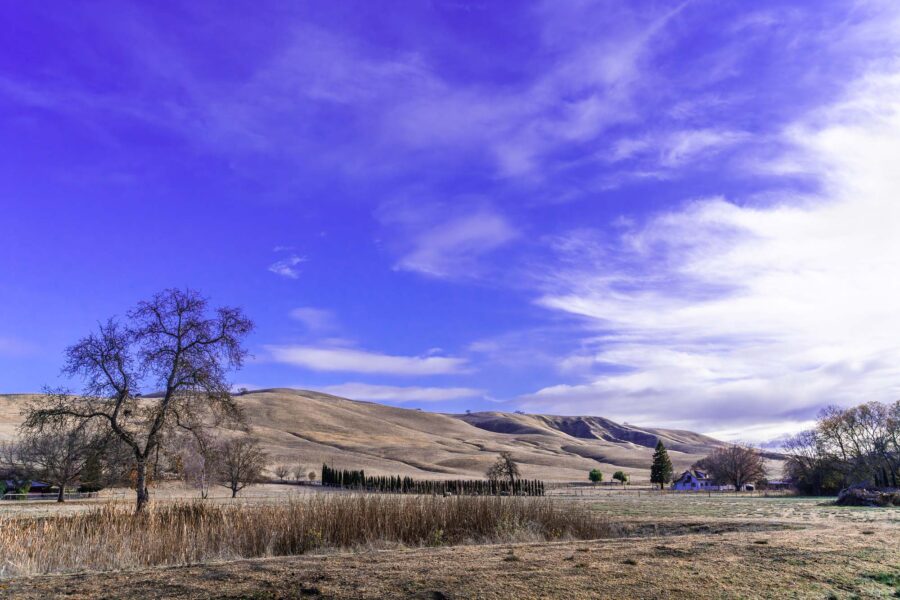 Landscapes 07