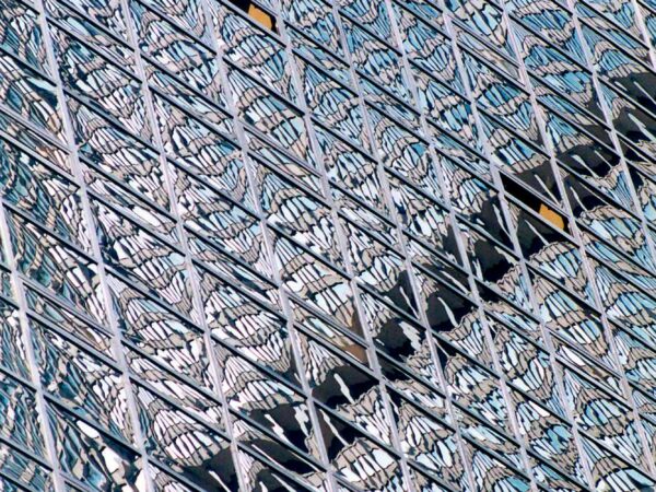 Windows 04