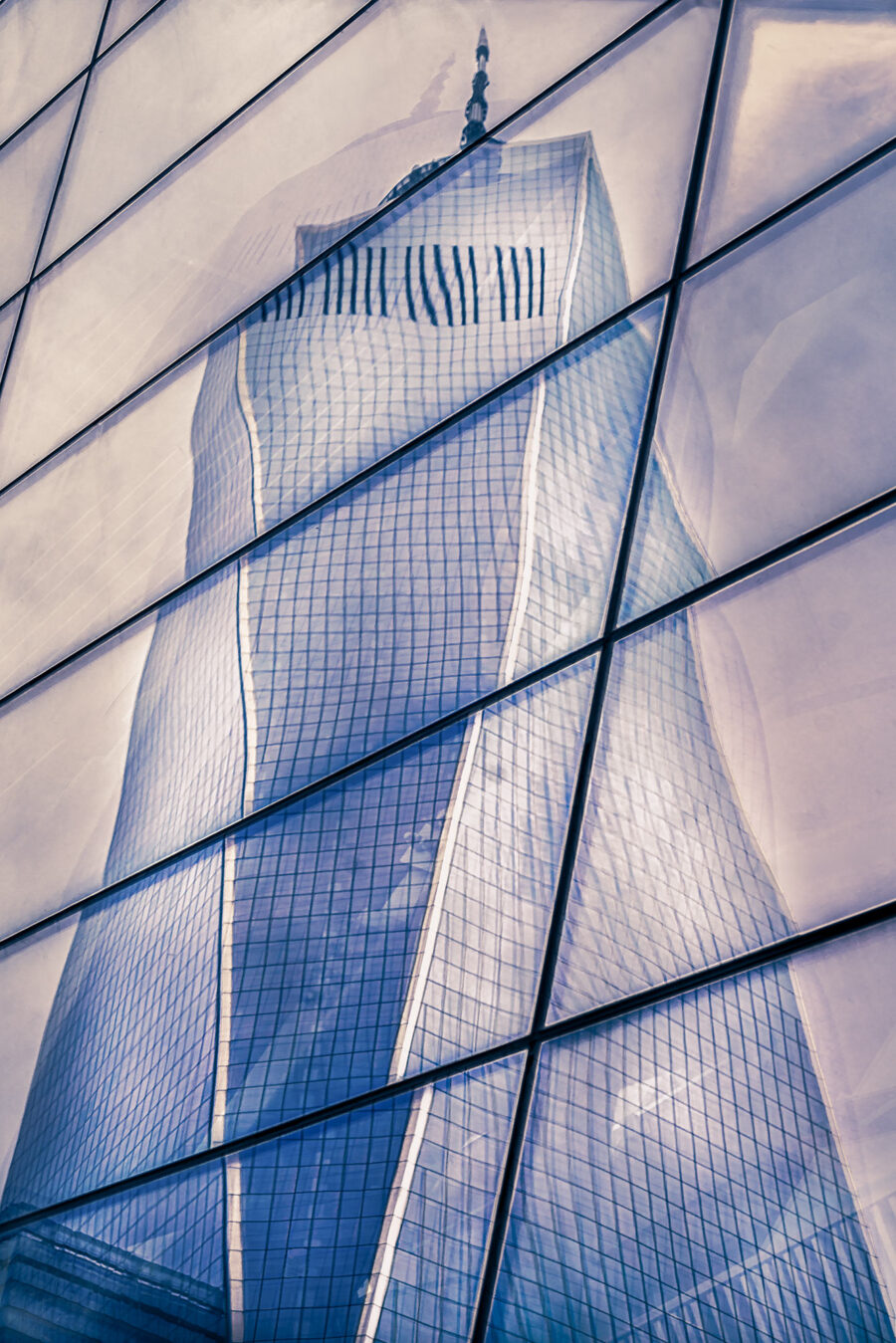 Blue York 14