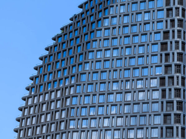 Blue York 15