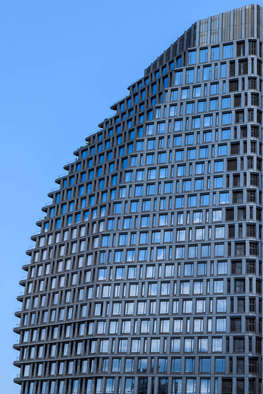 Blue York 15