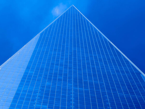 Blue York 12
