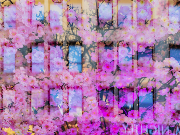 Kinetic Illusions 12